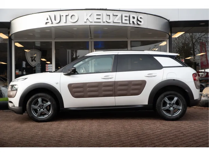 Citroën C4 Cactus 1.6 BlueHDi Business  Image 3